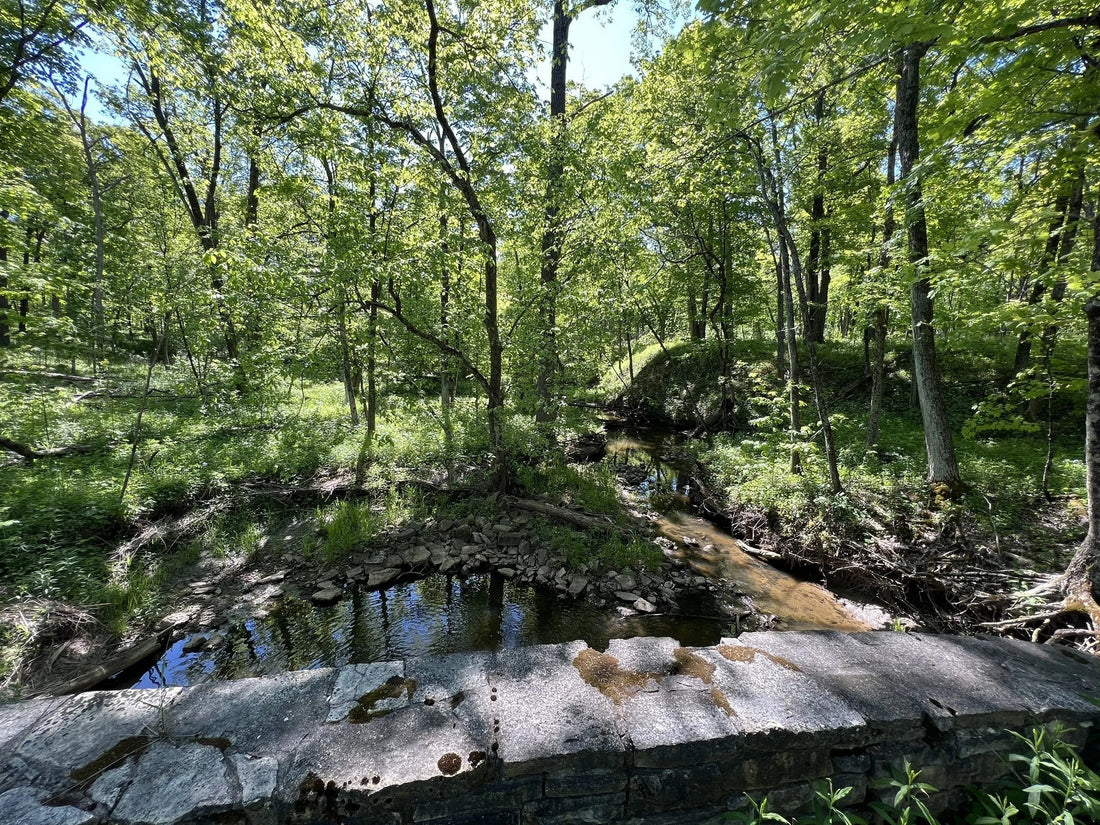 Top or Best Custom Video Graphic Agencies and Companies in Illinois