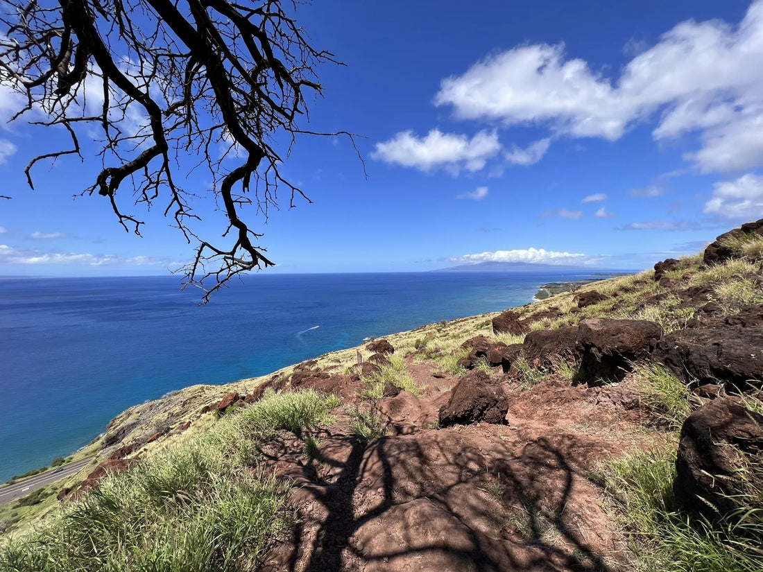 Top or Best Direct Mail Design Agencies and Companies in Hawaii