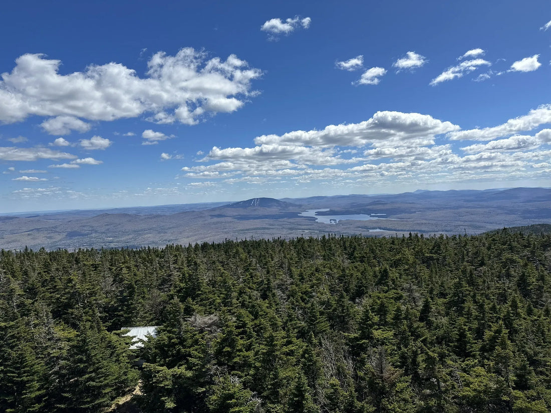 Best or Top Photo Editing Agencies and Companies in Barre Town, Vermont