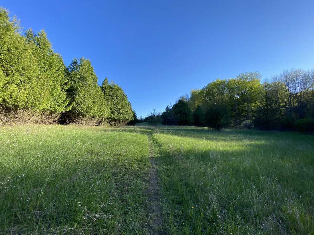 Best or Top Custom Graphics for Videos Agencies and Companies in Montpelier, Vermont