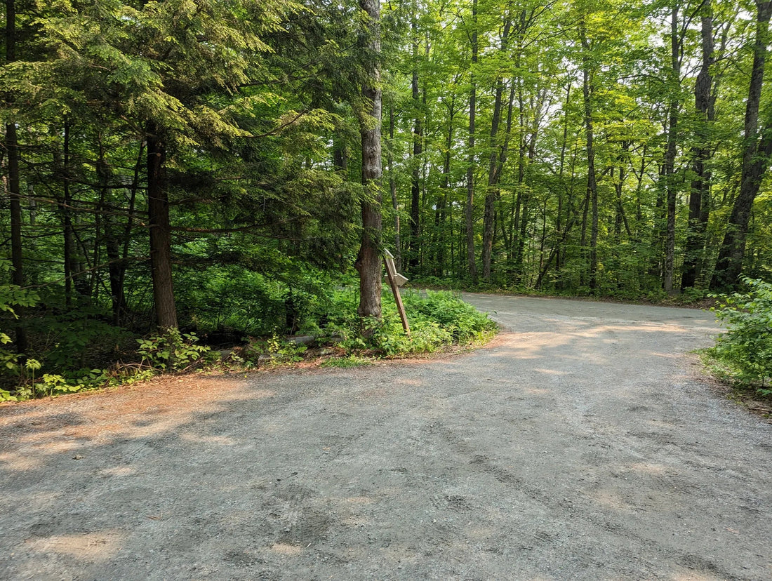 Best or Top LinkedIn Management Agencies and Companies in St. Johnsbury, Vermont