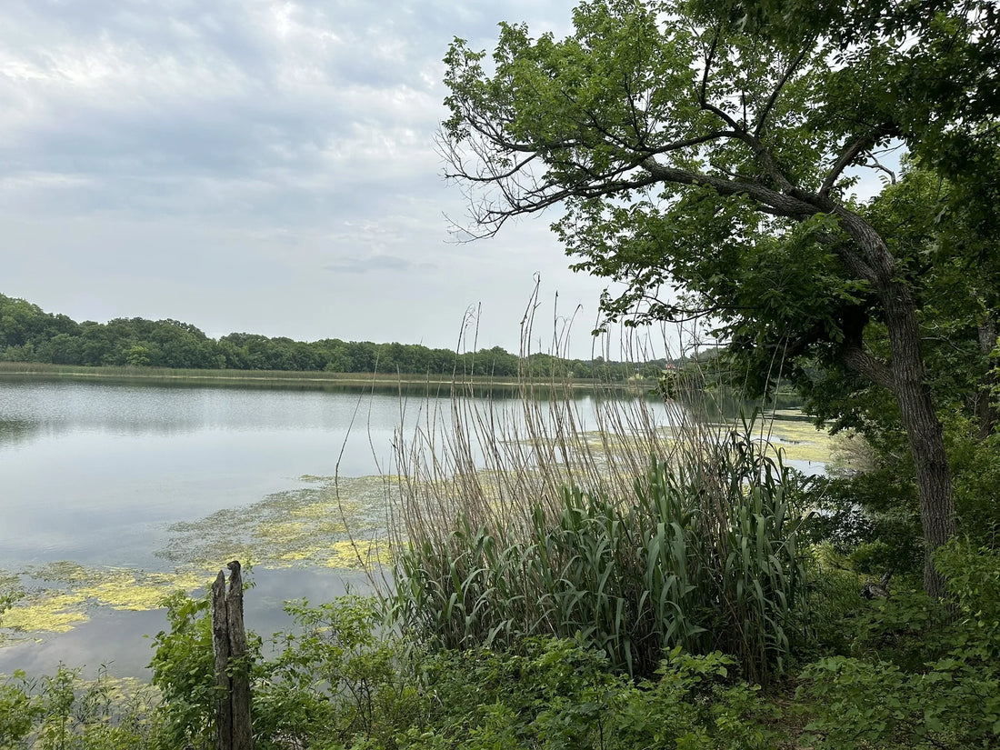 Best or Top Drawing & Illustration Agencies and Companies in Ardmore, Oklahoma