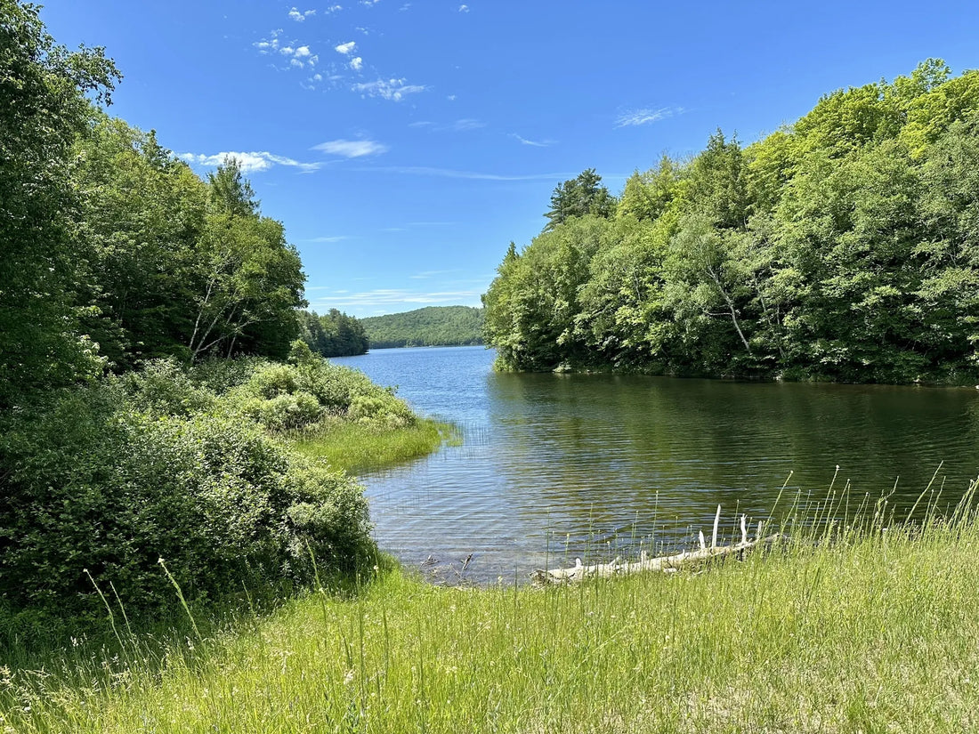 Best or Top X (Twitter) Management Agencies and Companies in St. Albans Town, Vermont