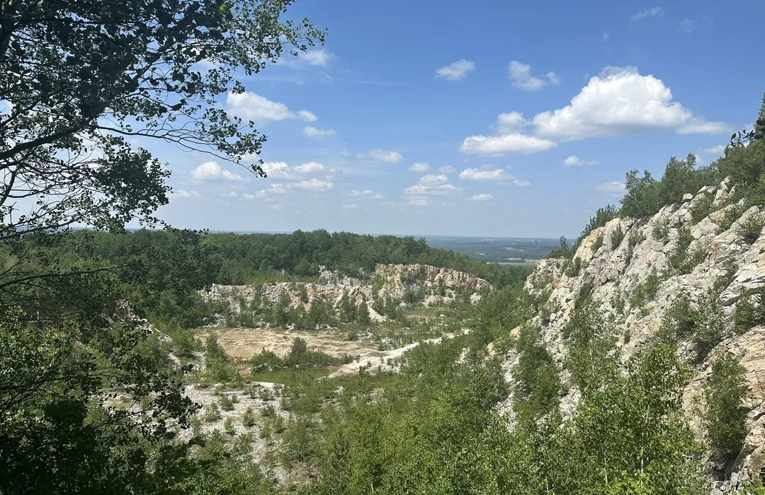 Top or Best Flyer Design Agencies and Companies in Wausau, Wisconsin