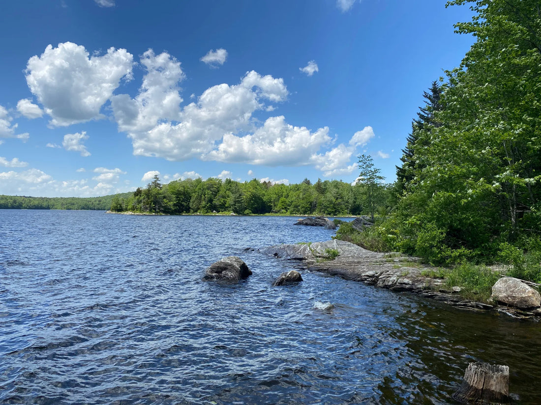 Best or Top Postcard Design Agencies and Companies in Winooski, Vermont