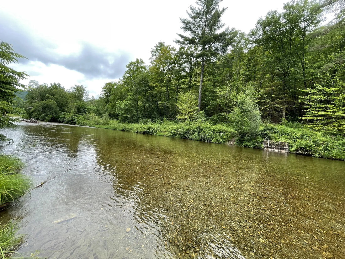 Best or Top Animation & Motion Graphics Agencies and Companies in St. Albans Town, Vermont