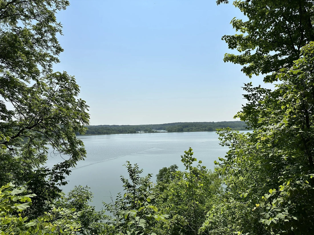 Top or Best Infographic Design Agencies and Companies in Illinois