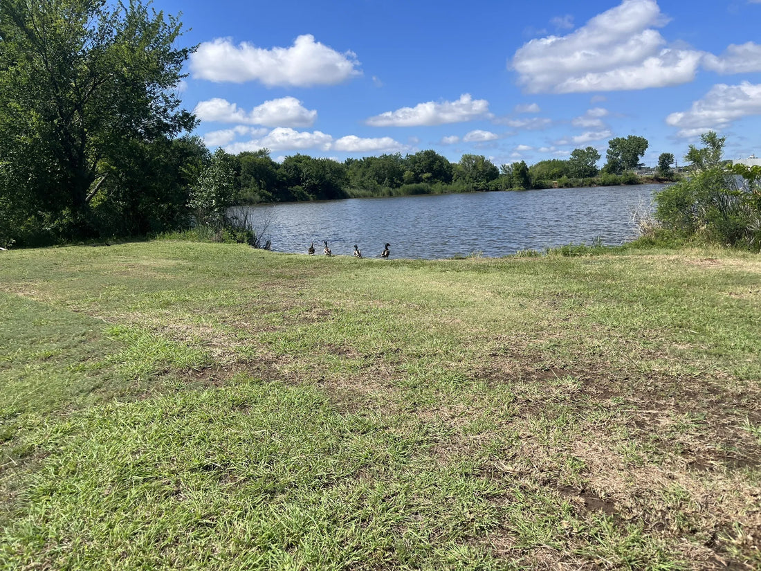 Best or Top Social Media Design Agencies and Companies in Shawnee, Oklahoma