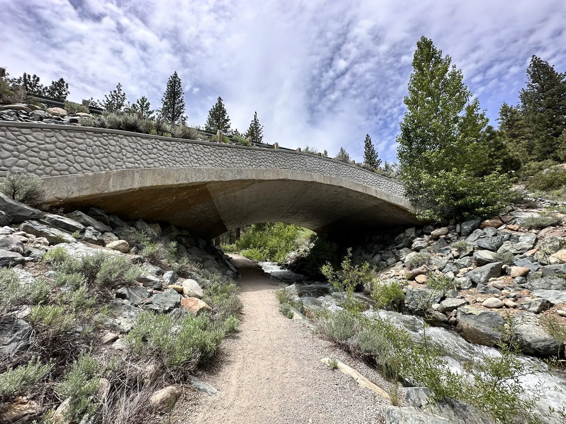 Best or Top Flyer Design Agencies and Companies in Reno, Nevada