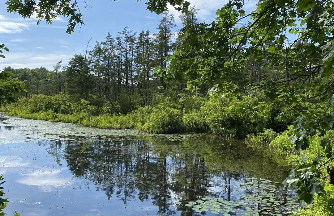 Top Direct Mail Design Agencies and Companies in Taunton, Massachusetts