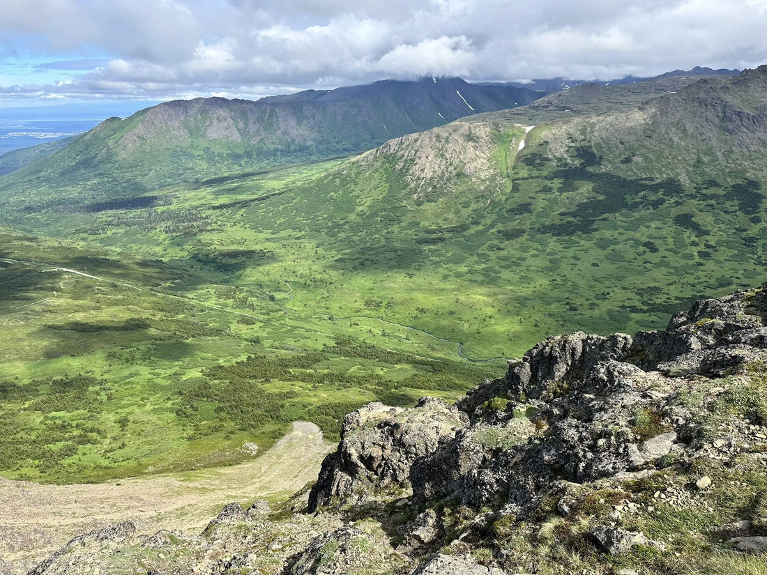 Top Talent Agencies and Companies in Alaska