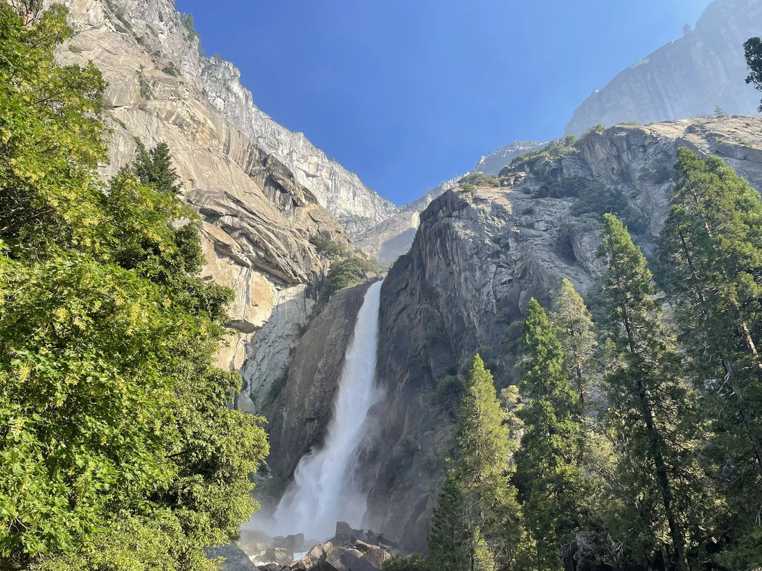 Top Influencer Campaign Strategy Agencies and Companies in California