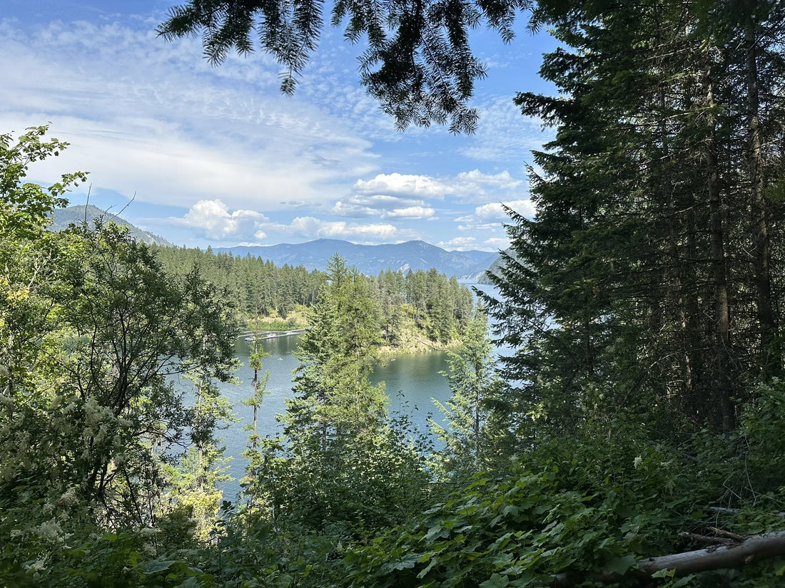 Top or Best Mural Design Agencies and Companies in Idaho