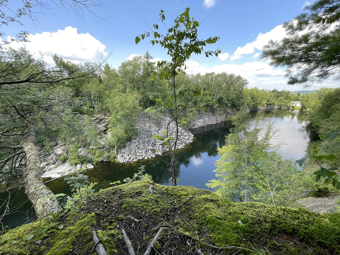 Best or Top Tattoo Design Agencies and Companies in Montpelier, Vermont