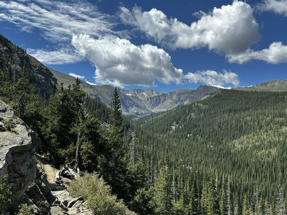 Top Influencer Agencies and Companies in Colorado