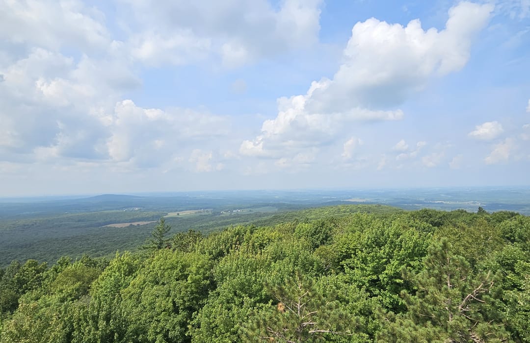 Top or Best Mural Design Agencies and Companies in Wausau, Wisconsin