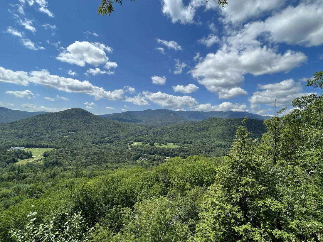 Best or Top Photo Editing Agencies and Companies in Springfield, Vermont