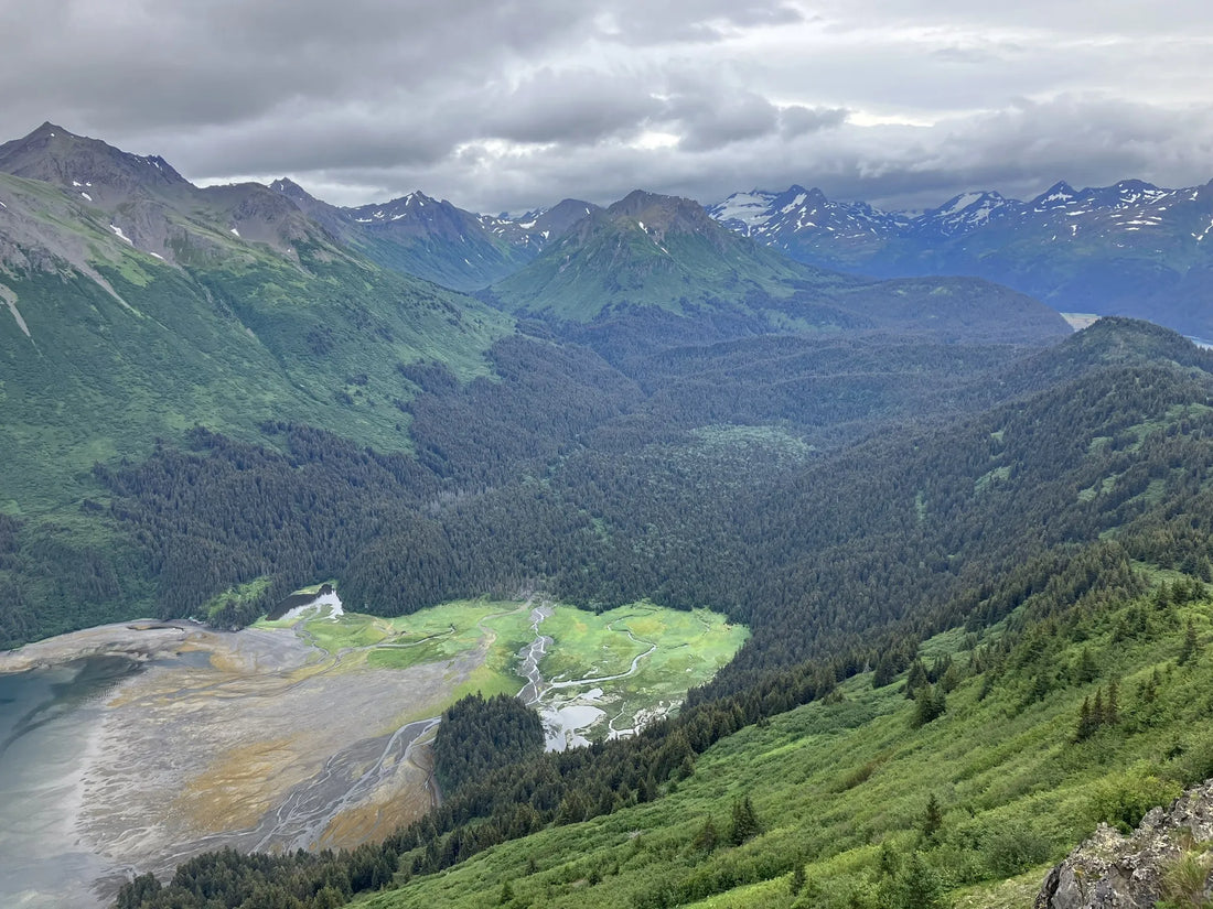 Top Athlete Brand Collaboration Agencies and Companies in Alaska