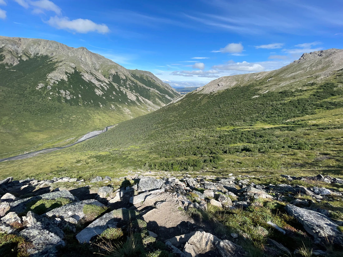 Top Influencer Brand Partnership Agencies and Companies in Alaska