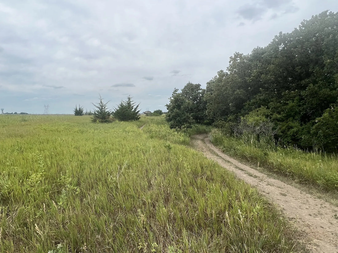 Best or Top Poster Design Agencies and Companies in Sioux Falls, South Dakota