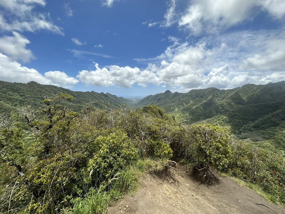 Top or Best Storyboards Agencies and Companies in Hawaii