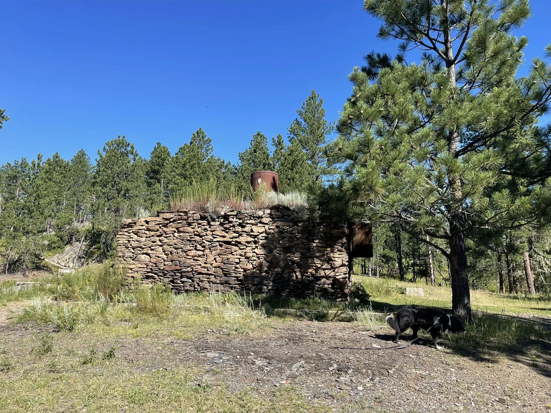 Best or Top LinkedIn Management Agencies and Companies in Sioux Falls, South Dakota