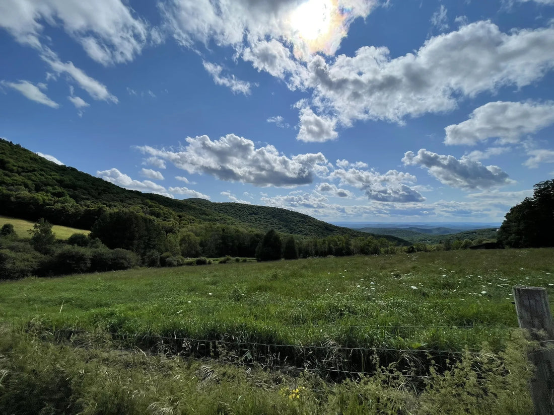 Best or Top Instagram Management Agencies and Companies in Montpelier, Vermont