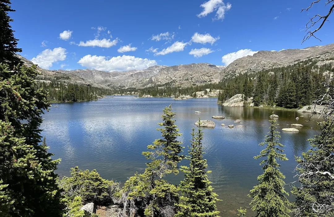 Top or Best Email Campaign Design Agencies and Companies in Buffalo, Wyoming