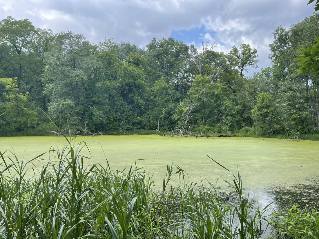 Top or Best Direct Mail Design Agencies and Companies in Illinois