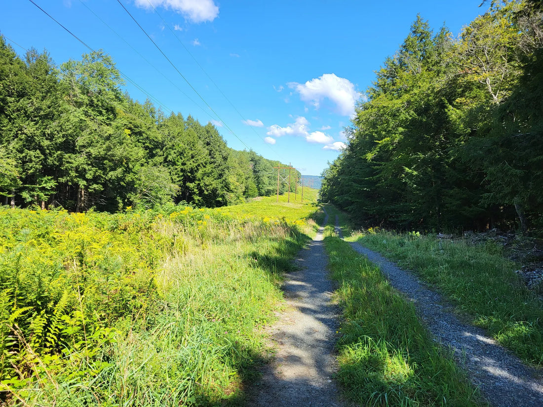 Best or Top Stationery Design Agencies and Companies in Montpelier, Vermont