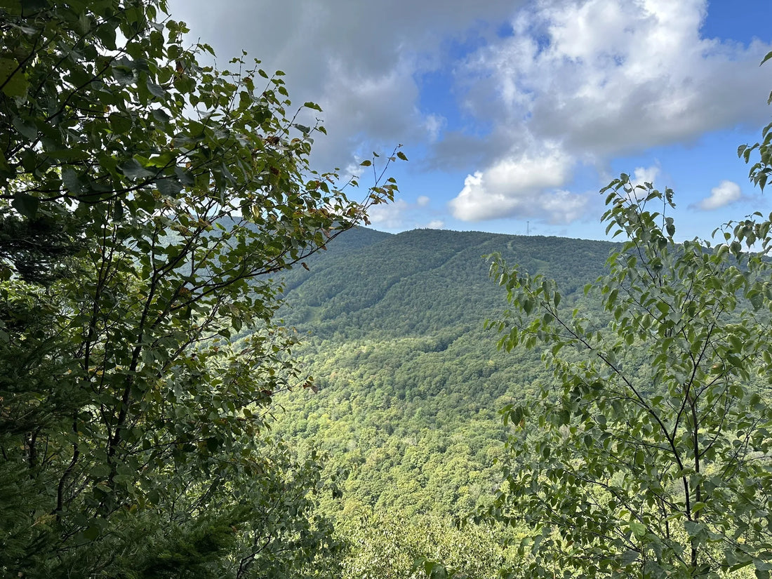 Best or Top Catalog Design Agencies and Companies in Montpelier, Vermont