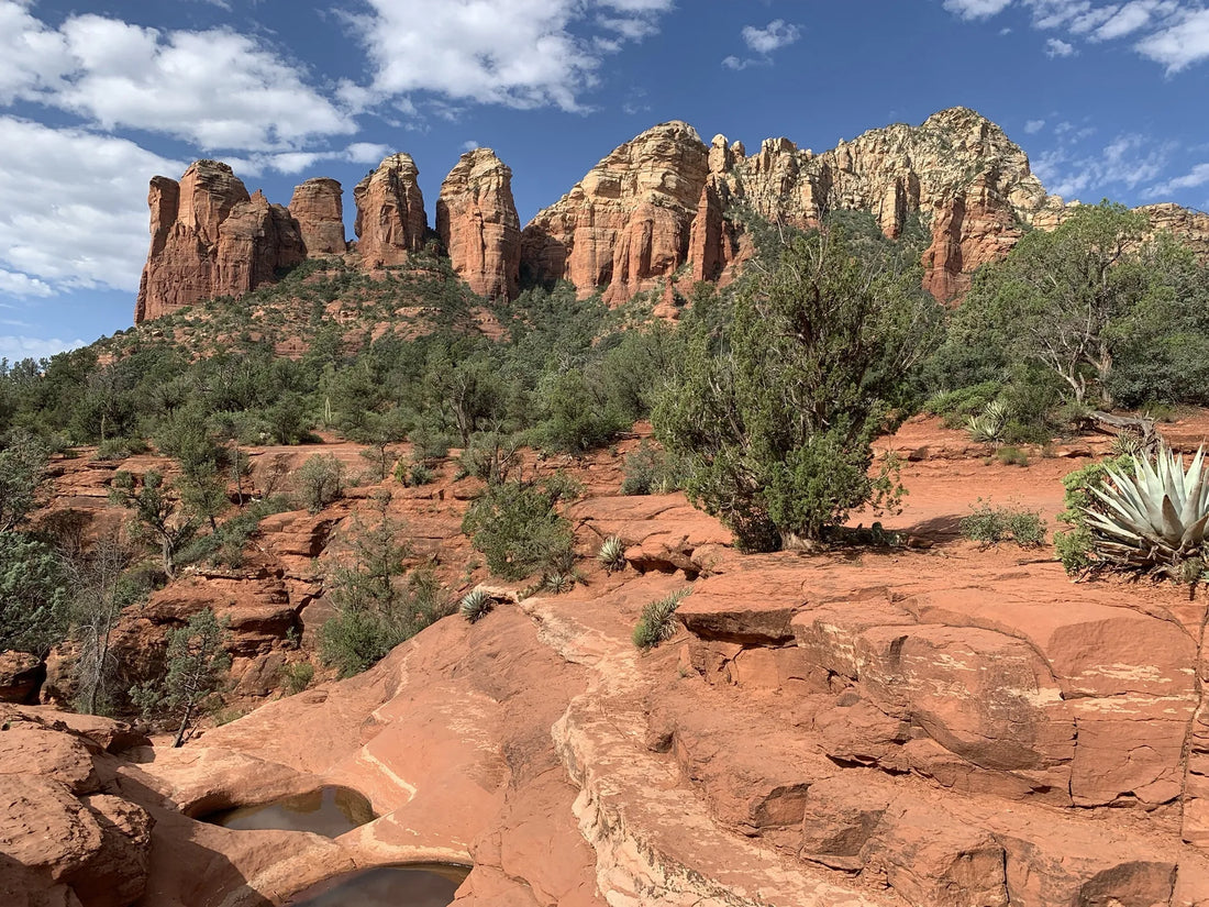 Influencer Brand Collaboration in Arizona