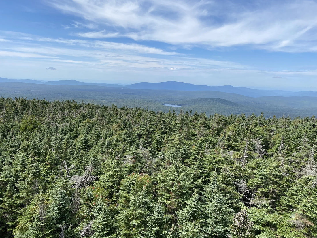 Best or Top Video Editing Agencies and Companies in Williston, Vermont