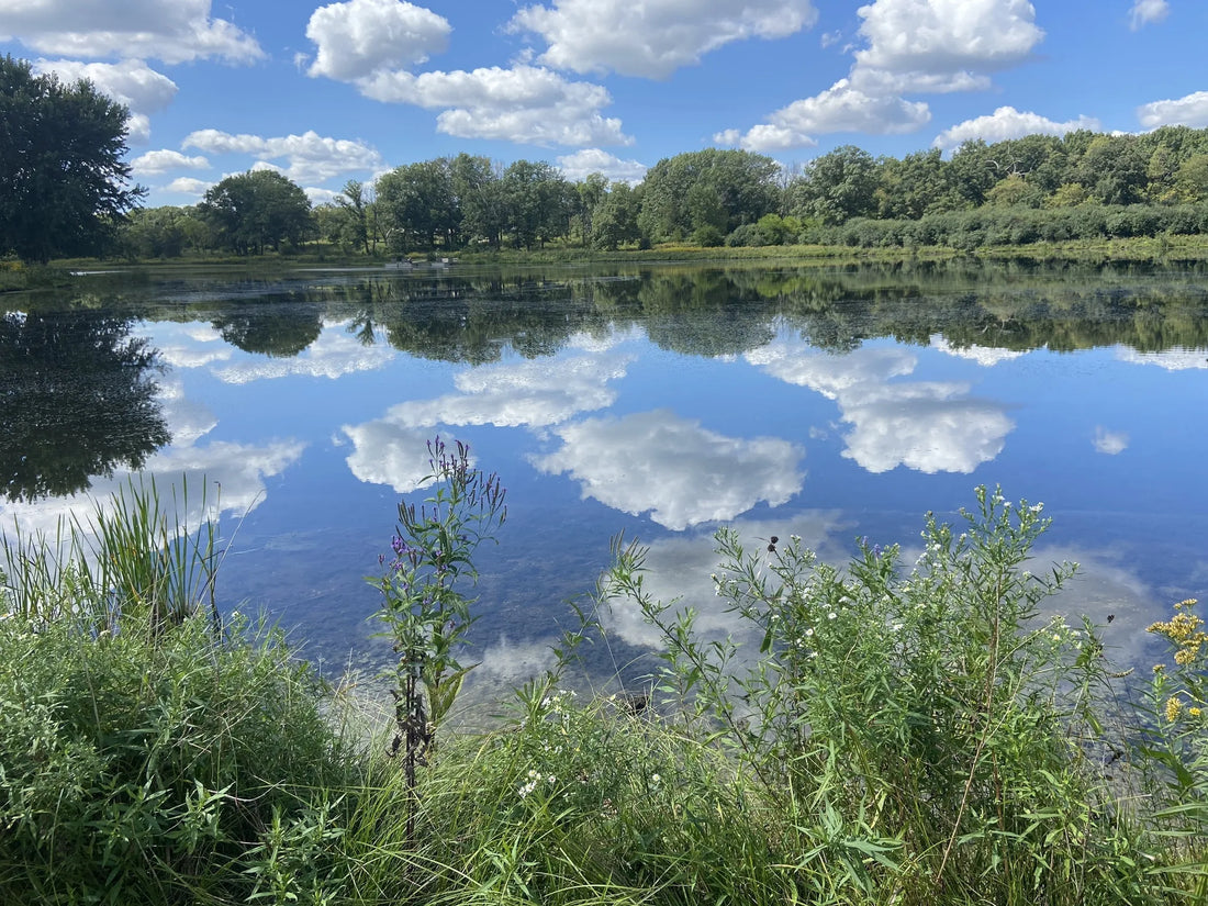 Top or Best Album Cover Design Agencies and Companies in Illinois