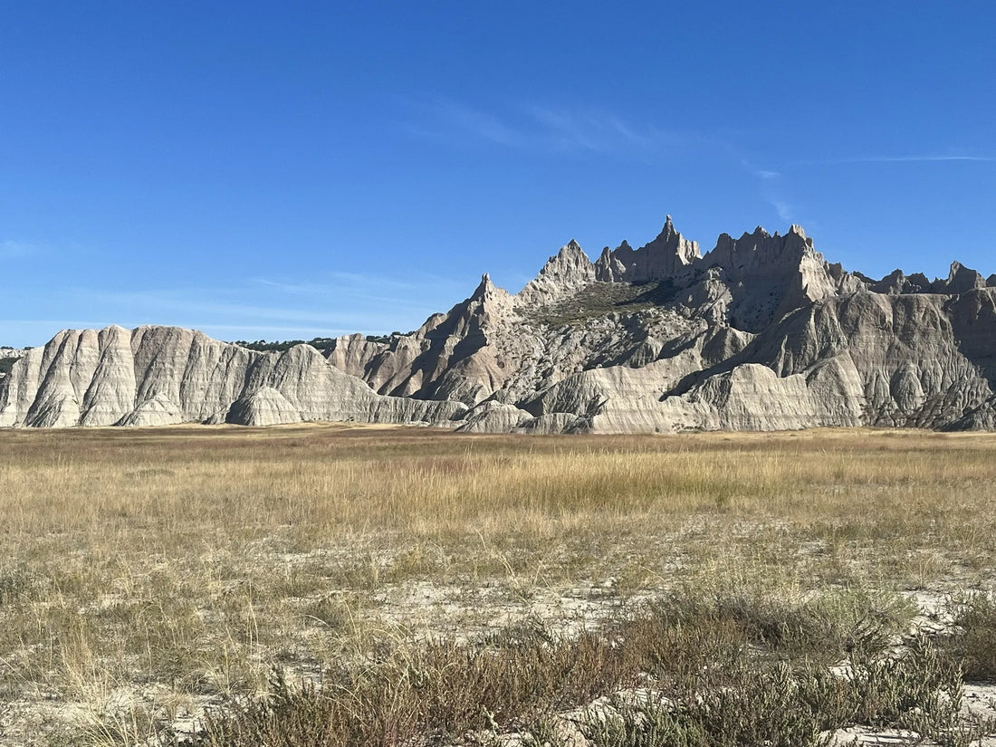 Best or Top AR Filters & Lenses Agencies and Companies in Sioux Falls, South Carolina