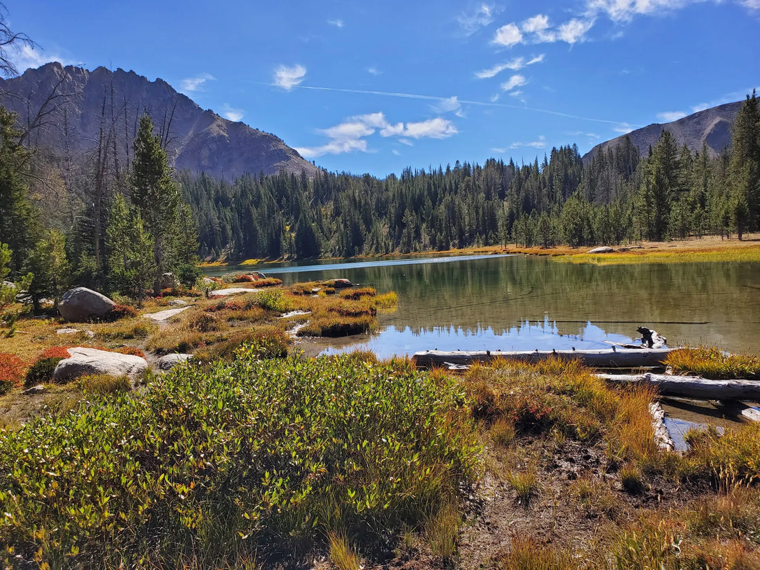 Top or Best X (Twitter) Management Agencies and Companies in Idaho