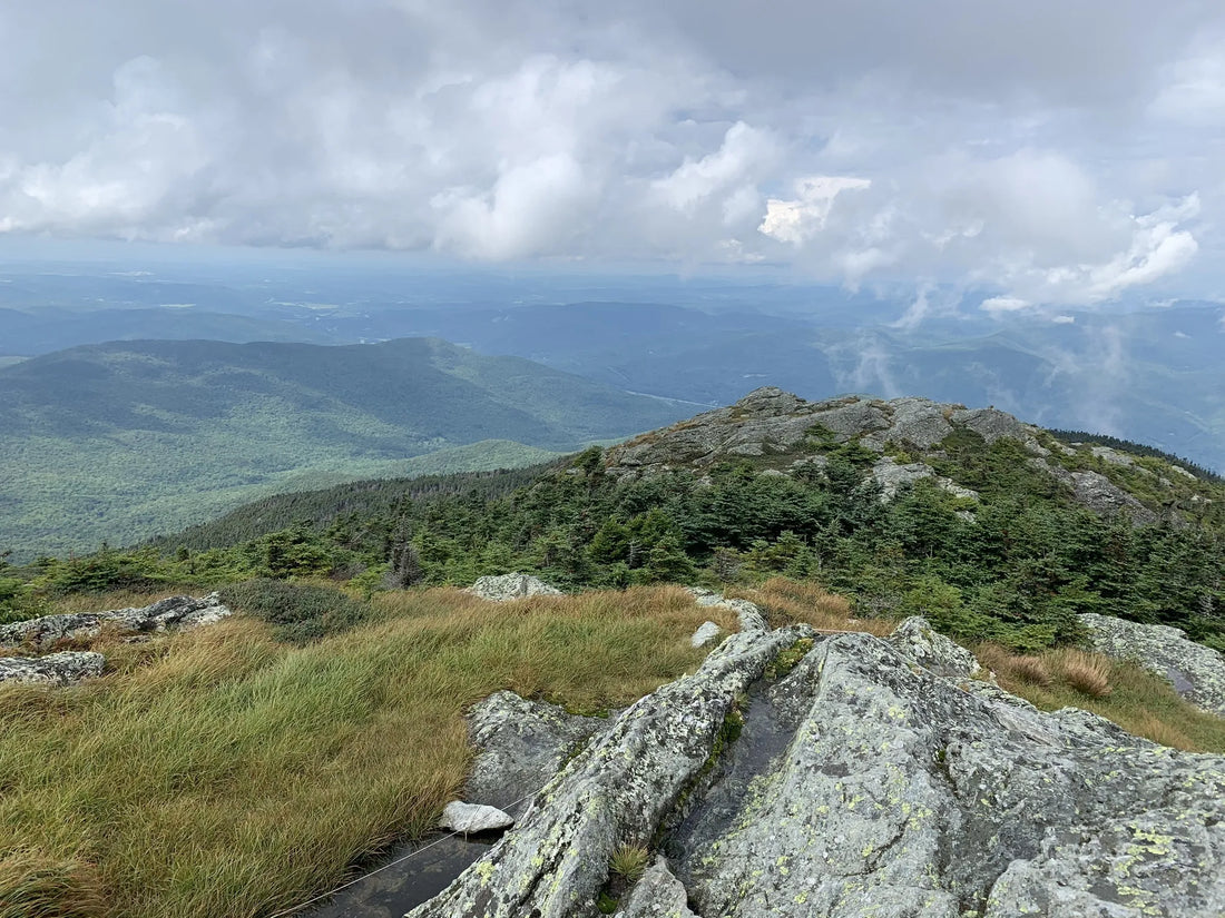 Best or Top Storyboards Agencies and Companies in Williston, Vermont