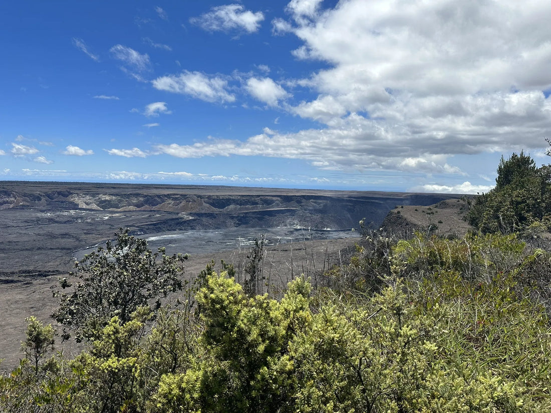 Top Talent Management Agencies and Companies in Hawaii