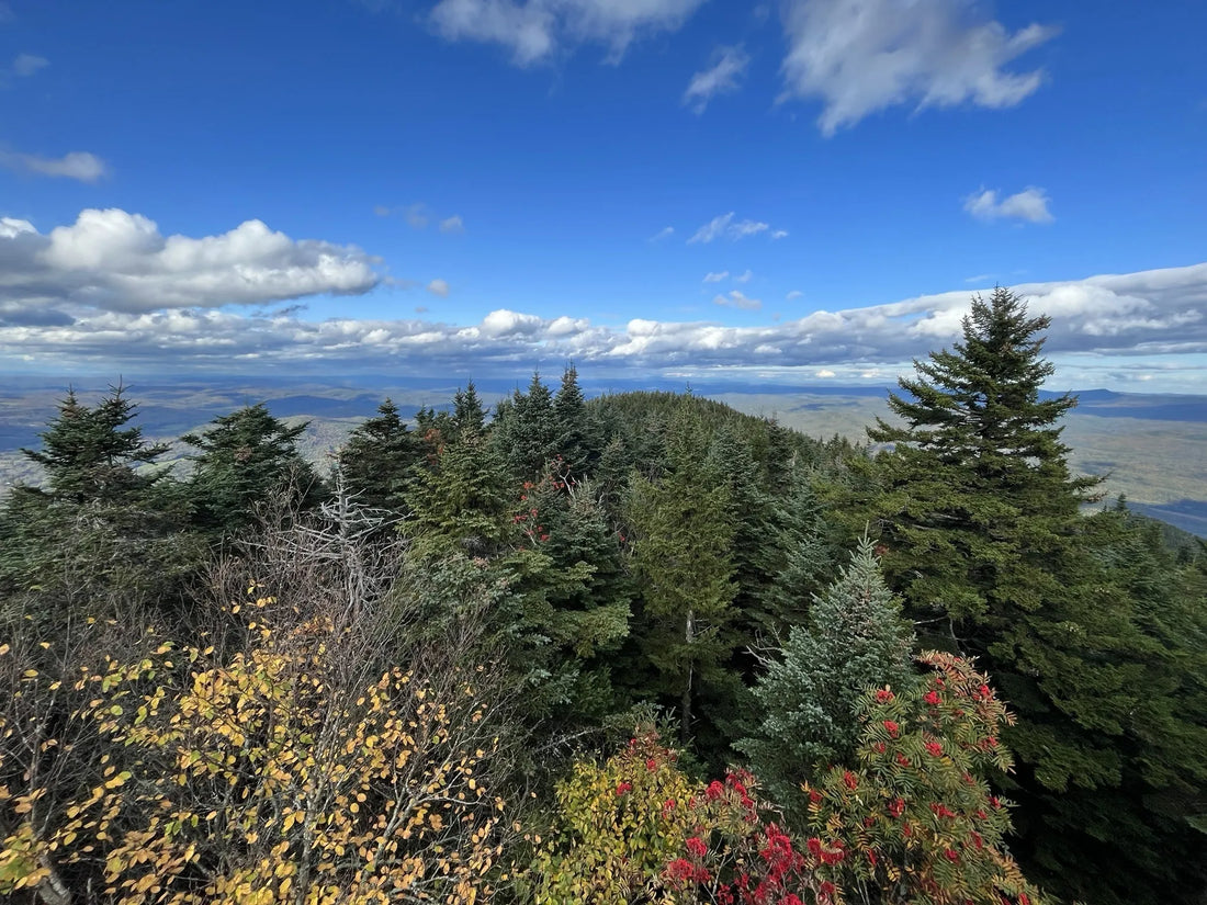 Best or Top Logo Design Agencies and Companies in Barre City, Vermont