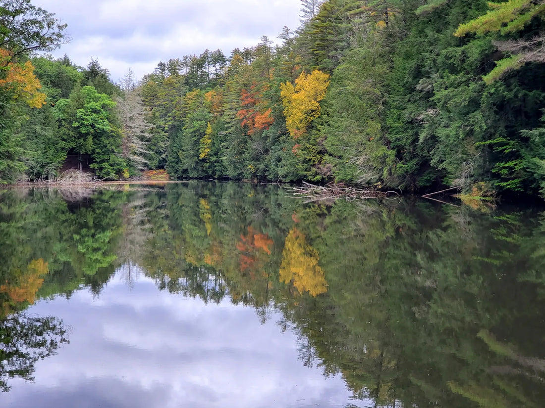 Best or Top Poster Design Agencies and Companies in Montpelier, Vermont