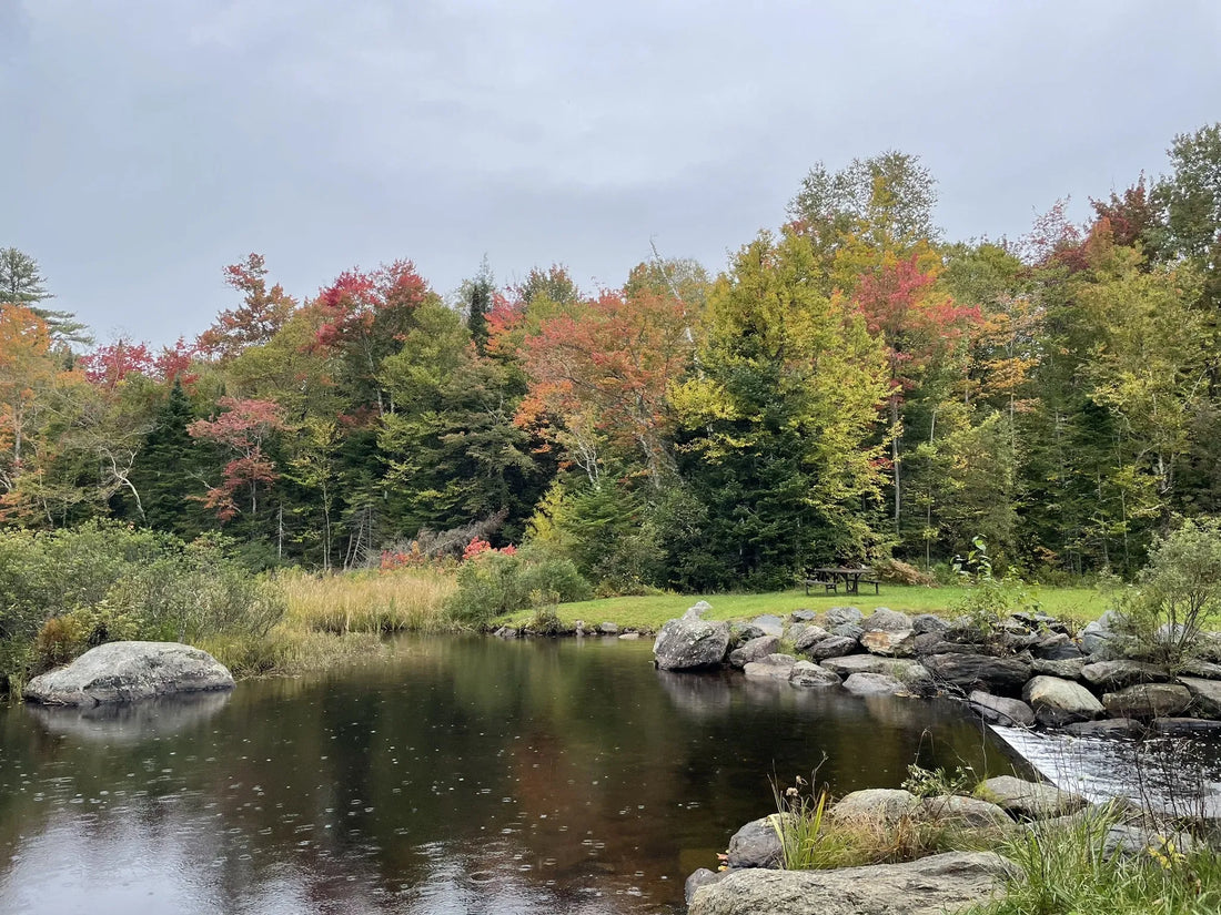 Best or Top Direct Mail Design Agencies and Companies in Winooski, Vermont