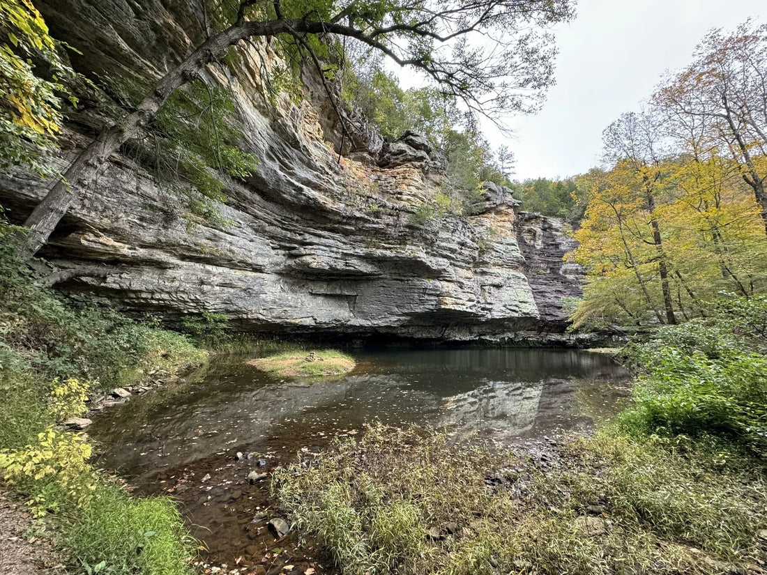 Top or Best Packaging Design Agencies and Companies in Illinois