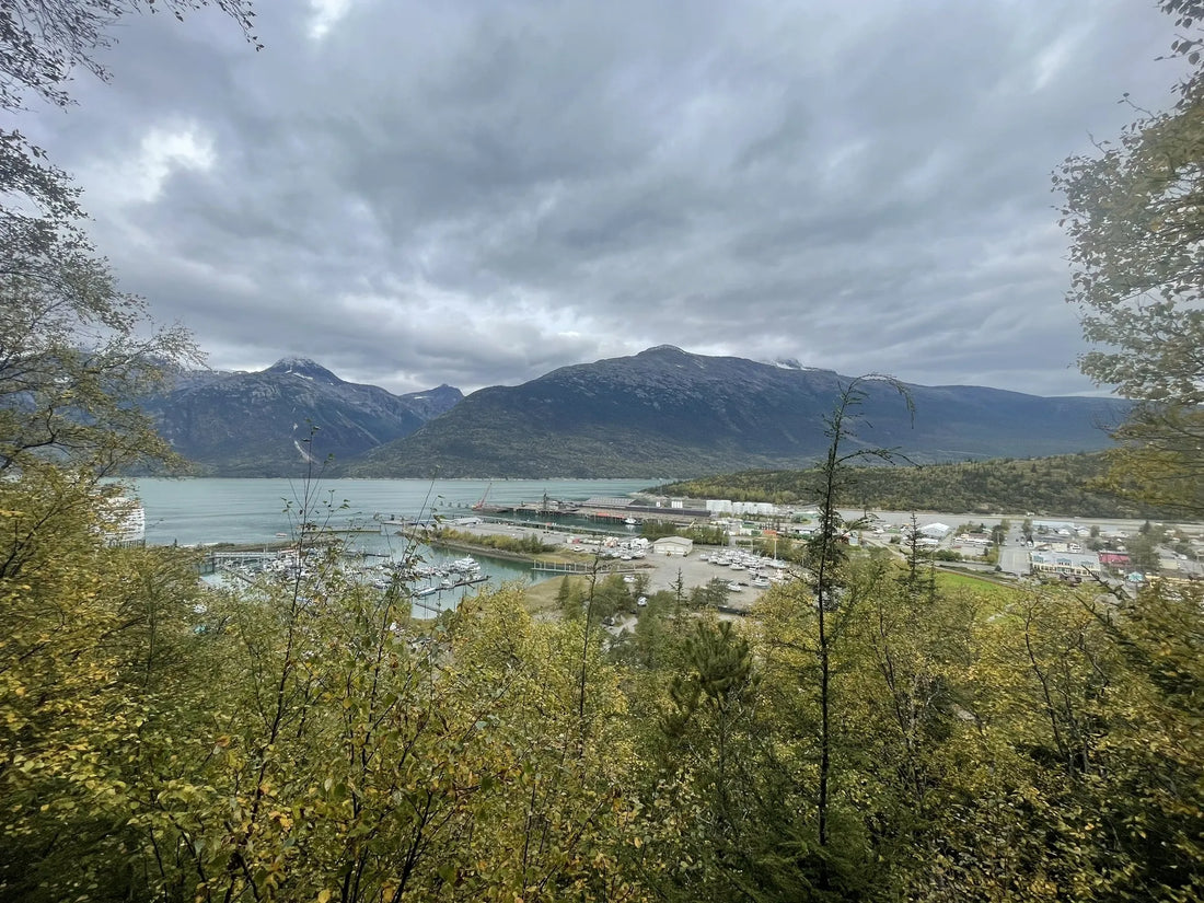 Top Brand Partnership Agencies and Companies in Alaska