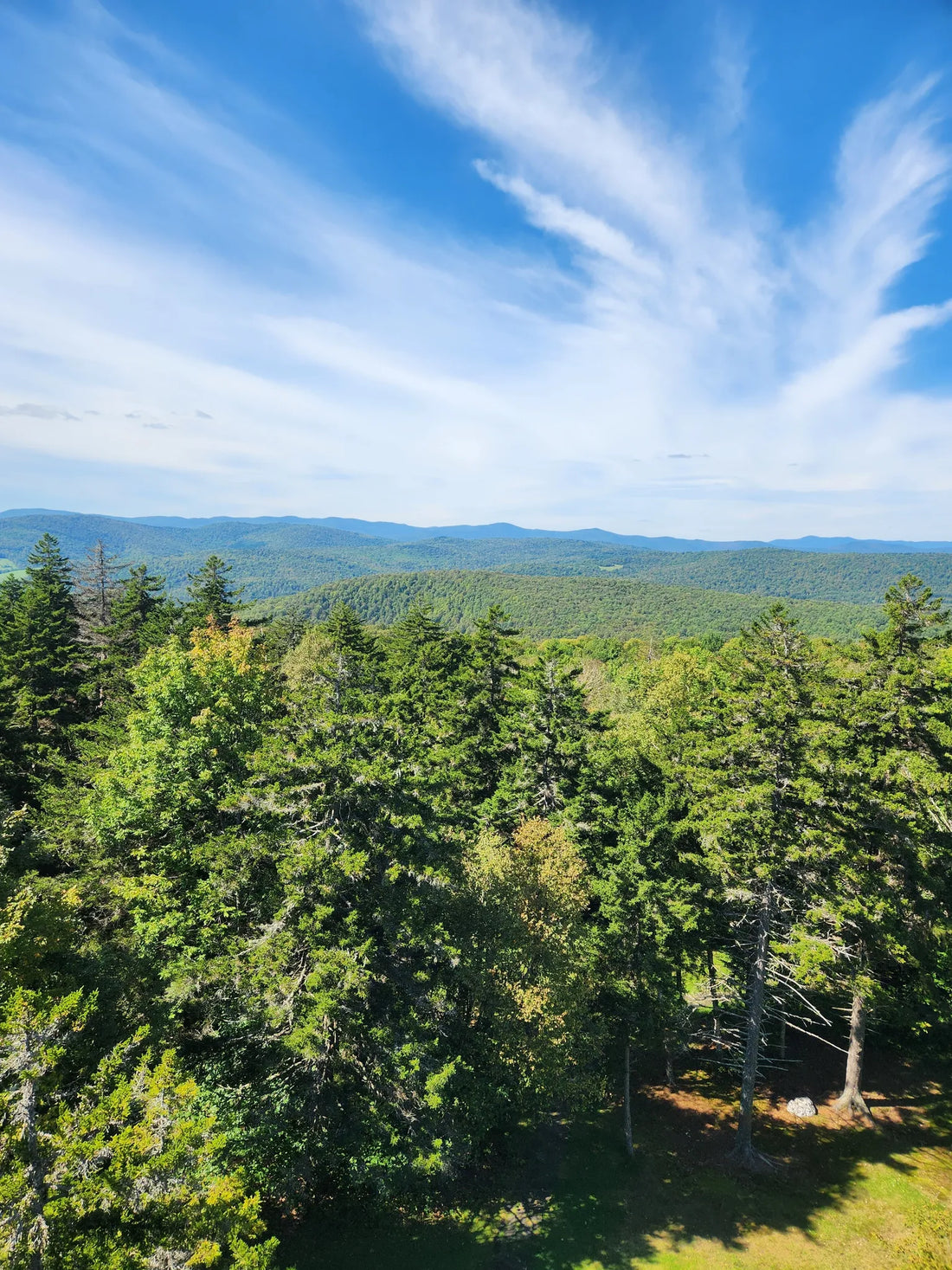 Best or Top Banner Ads Agencies and Companies in Barre City, Vermont