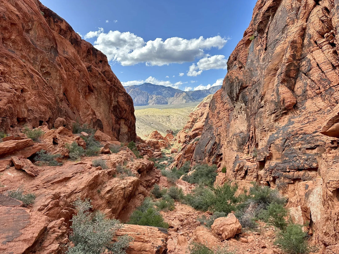 Best or Top Catalog Design Agencies and Companies in North Las Vegas, Nevada