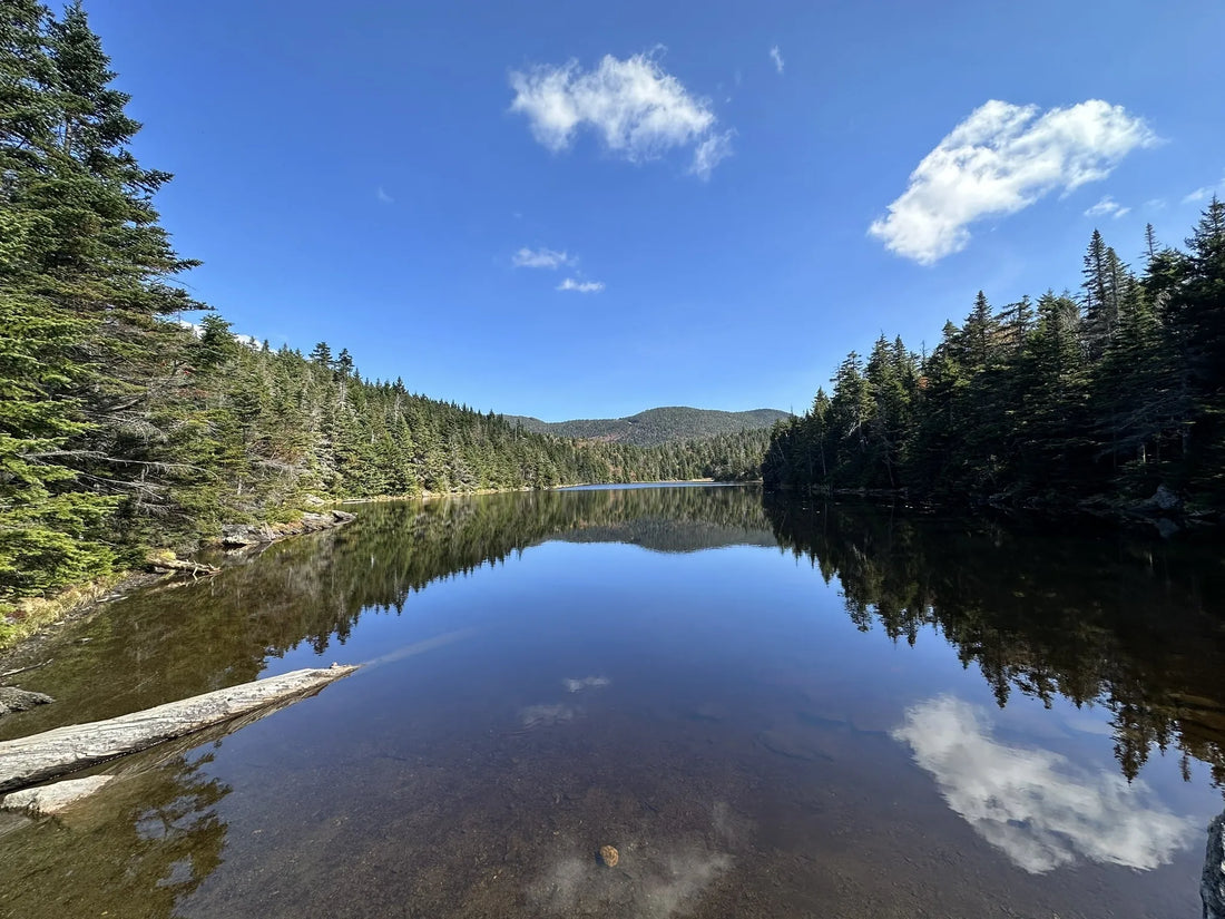 Best or Top App UI/UX Design Agencies and Companies in St. Johnsbury, Vermont