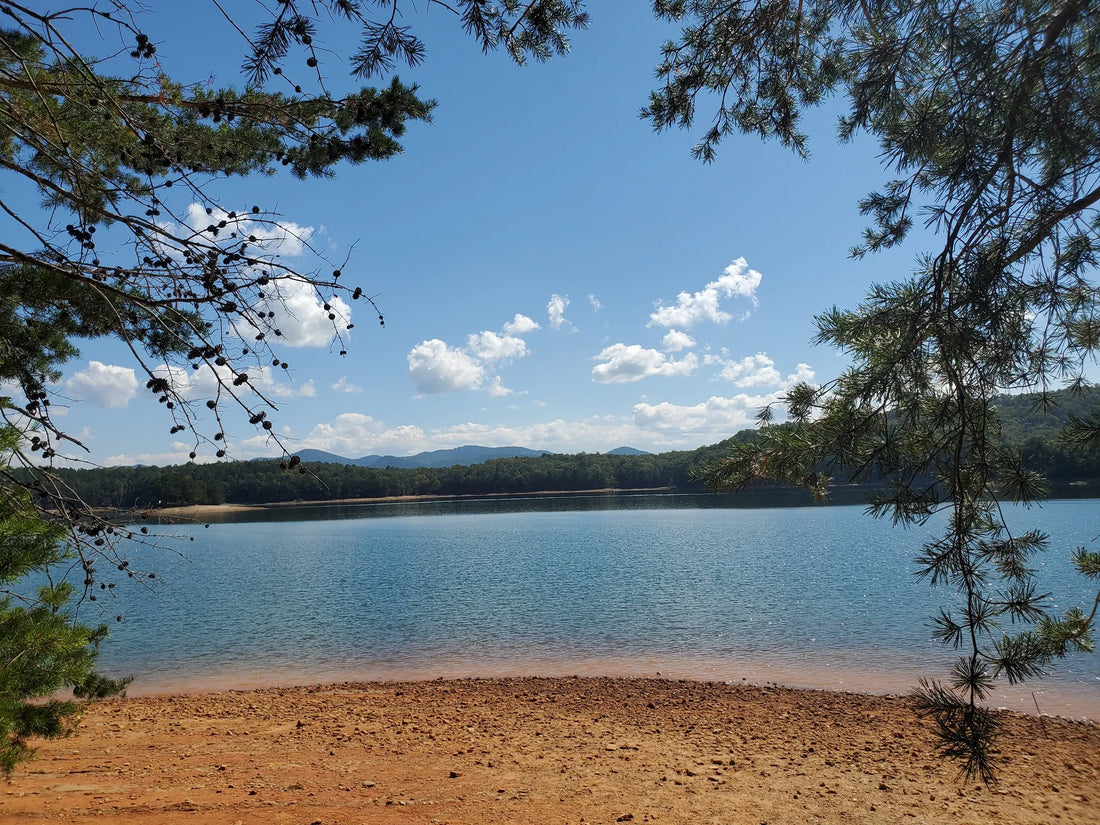 Top Influencer Brand Partnership Agencies and Companies in Georgia