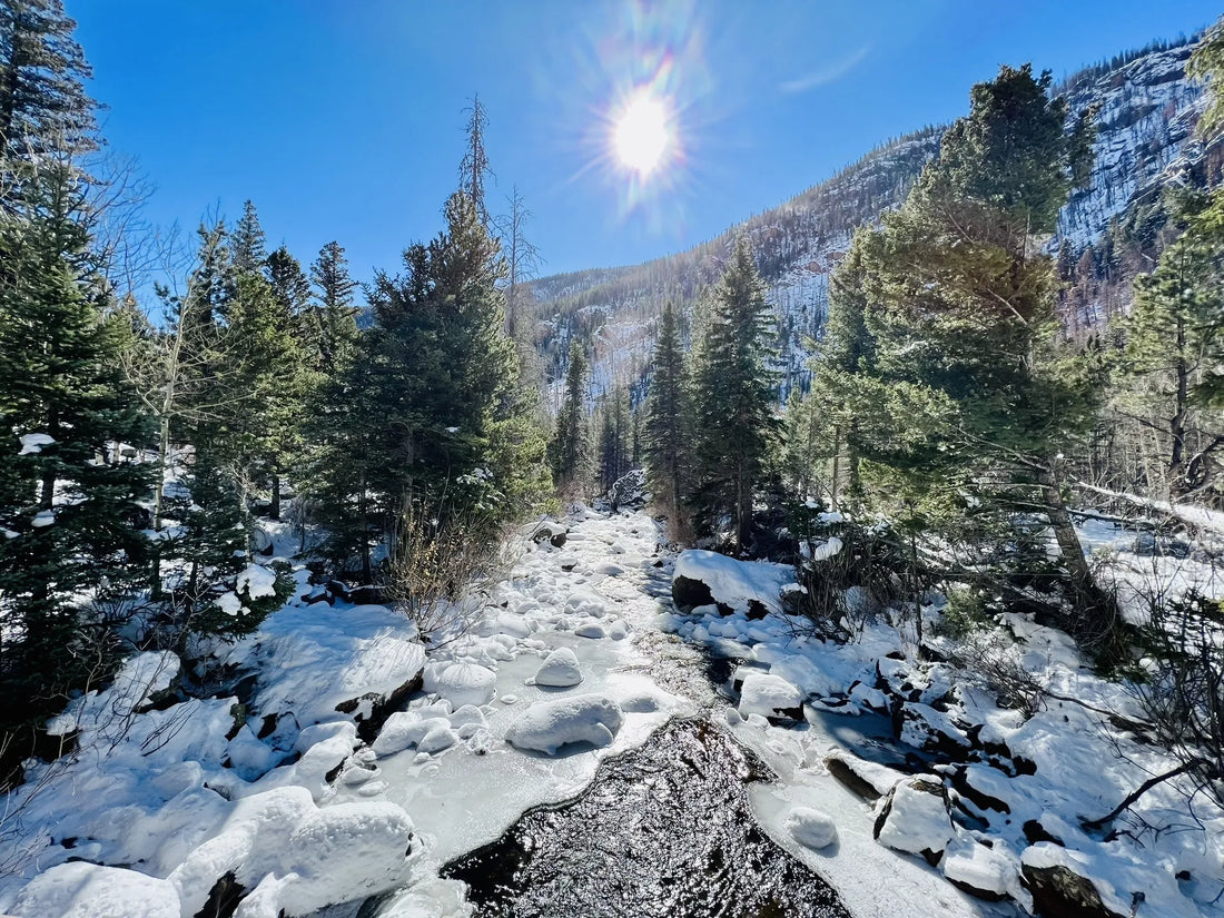 Top Photo Editing Subscription Agencies and Companies in Colorado