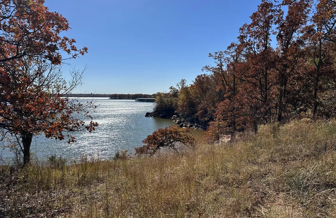 Top or Best Graphic Design Subscription Agencies and Companies in Norman, Oklahoma