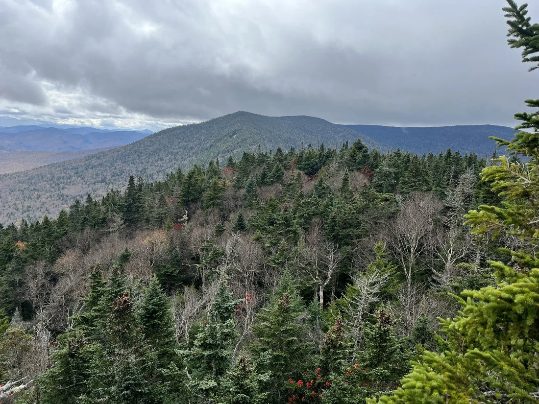 Best or Top Flyer Design Agencies and Companies in Montpelier, Vermont